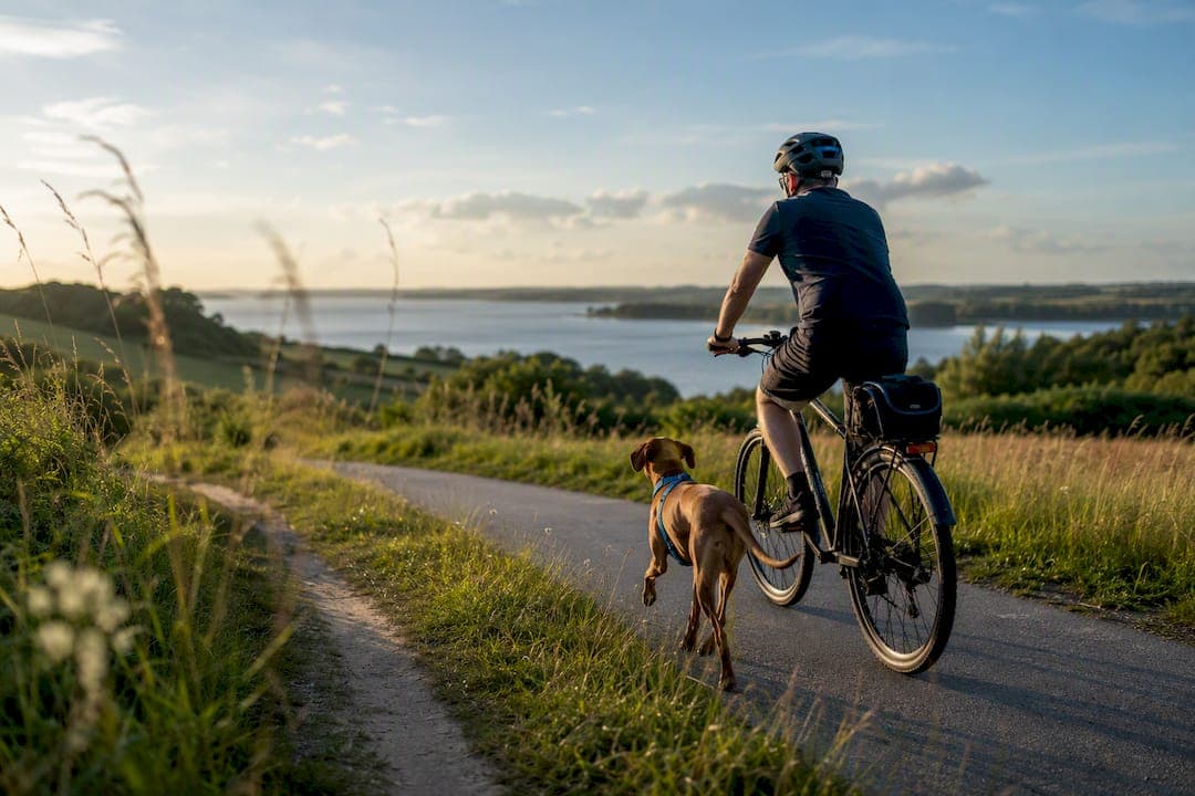 20–40 Kilometer Thementörns: Schlei radfahren mit Hund ab Kappeln