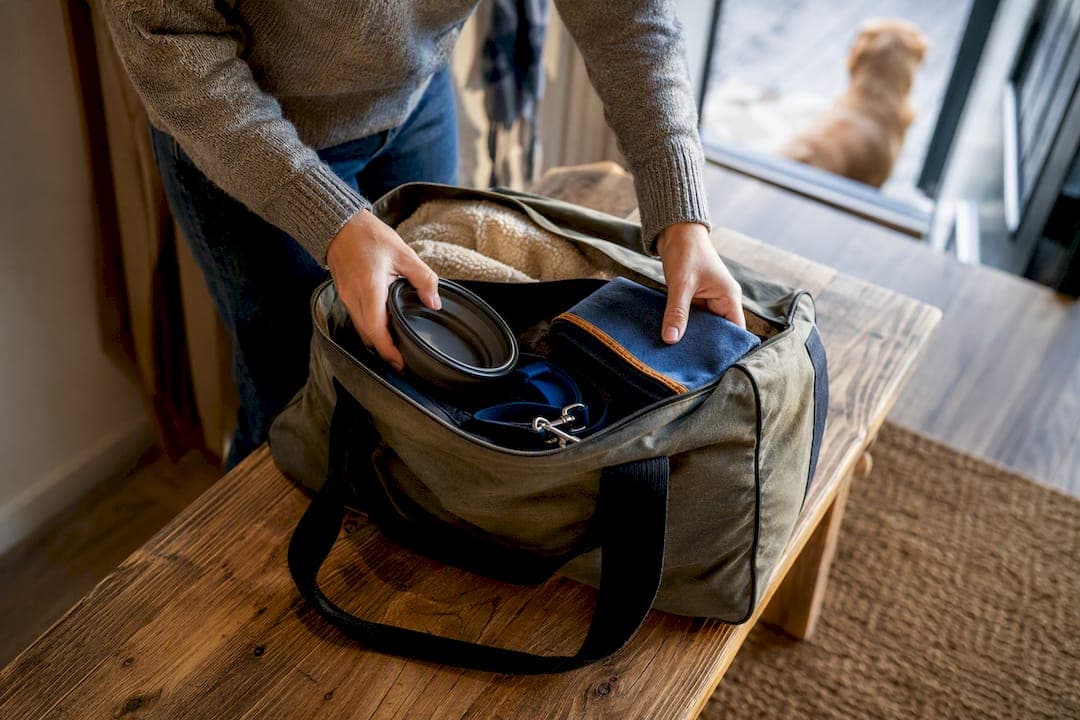 In unter 48 Stunden an die Schlei: Last Minute Ostsee Tipps für Hund